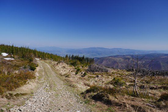 Park Krajobrazowy Beskidu Śląskiego